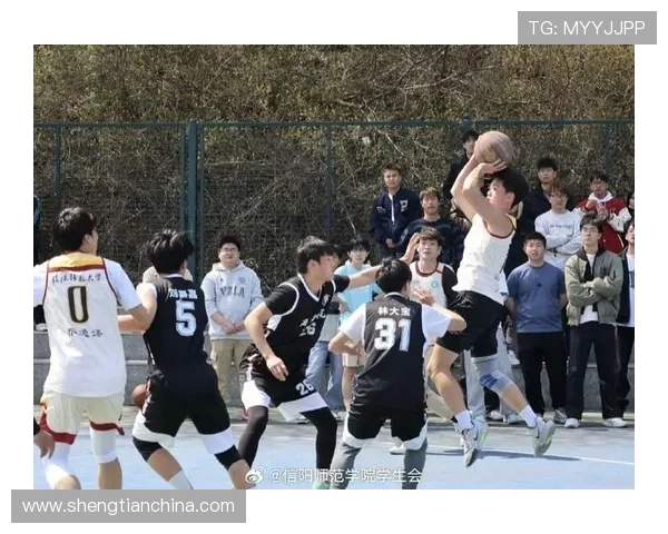 篮球世界杯激战正酣 多支强队争锋进入淘汰赛阶段