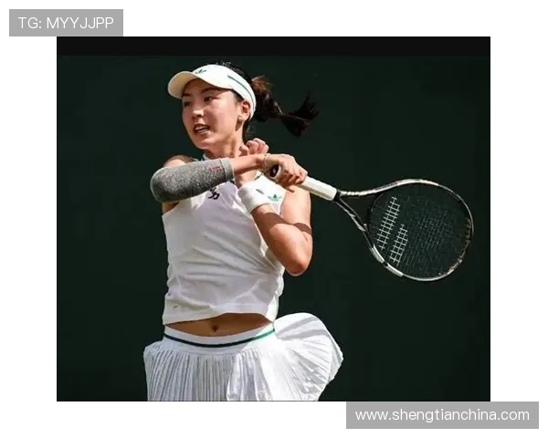 网球赛季精彩回顾:新星崭露头角 老将依旧强势争锋 网球赛季精彩回顾:新星崭露头角 老将依旧强势争锋