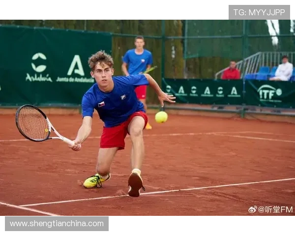 网球赛季高潮来临 全球顶级球员争夺年终总决赛冠军殊荣