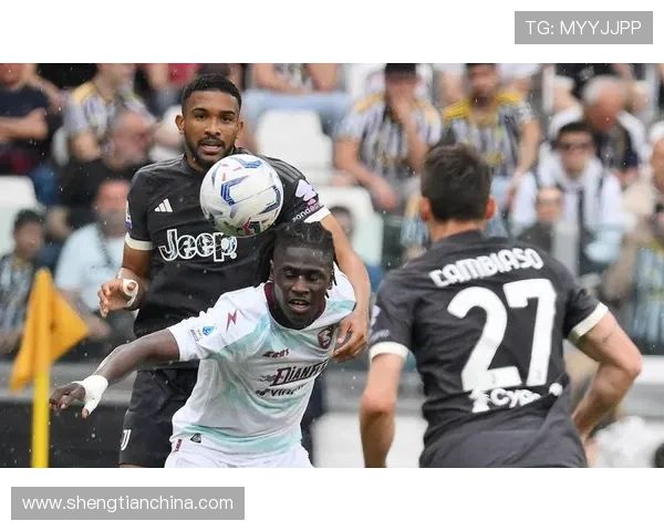 萨勒尼塔纳足球俱乐部历史辉煌与挑战并存的成长之路 萨勒尼塔纳足球俱乐部历史辉煌与挑战并存的成长之路