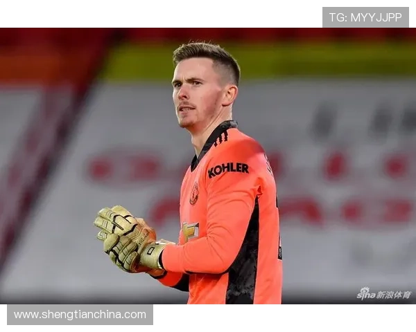 谢菲尔德联俱乐部百年荣光与现代英超征程的传承与挑战