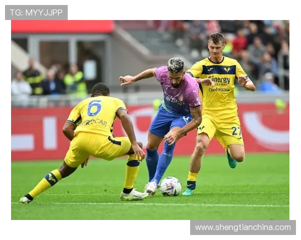 从历史沉浮到意甲征途的维罗纳足球俱乐部新篇章复兴与荣耀梦想 从历史沉浮到意甲征途的维罗纳足球俱乐部新篇章复兴与荣耀梦想